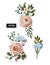Set of bouquets with peachy English roses and other flowers isolated. Vector.