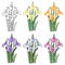 Set of bouquets of spring flowers. Vector graphics. Isolated elements