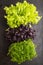 Set of boxes with microgreen sprouts of purple basil, marigold, lettuce on black concrete background. Top view, copy space