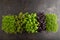 Set of boxes with microgreen sprouts of purple and green basil, sorrel, cilantro on black concrete background. Top view