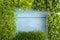 Set of boxes with microgreen sprouts of spinach, carrot, borage, mizuna cabbage on blue, top view, frame