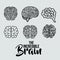 Set brains human isolated icon