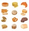 Set of bread illustration.Vector food illustration