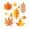 Set of bright autumn leaves in flat style. Stylized leaves of maple, Rowan, oak, birch, aspen, Linden. Autumn seasonal