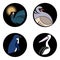 Set of bright birds on black circles for logo