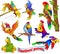 set of bright emotional cartoon parrots