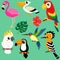 Set of bright exotic tropical birds