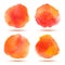 Set of Bright red - orange honey watercolor vector circle stains