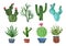 Set of bright watercolor green and blue cactus