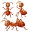 Set of brown ants cartoon