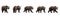 Set of brown bears isolated on white background. Collage of a dangerous predator bear.