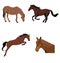 Set of brown horses