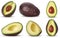 Set brown mature avocado whole, three quarters with bone, cut in