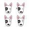 Set of bull terrier dog faces showing different emotions