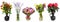 Set of bunches of flowers in vases isolated