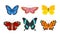 Set of butterflies of different colors and shapes isolated on white background. Beautiful flying insects.