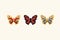 A Set Of Butterflies. Exotic colored flying insects. Collection of moths on a white background for posters.