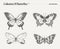 Set of butterflies, realistic drawing, sketch