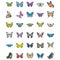 Set of Butterfly Flat Vector Icons