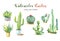 Set cactus hand paint watercolor collection.