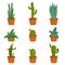 Set of cactus houseplants in flower pots. Cactus icons in a flat style on a white background. Succulent plants.