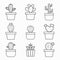 Set of cactus icons