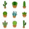 Set of cactus in a potplants