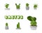 Set of cactuses. Collection of succulents. Vector illustration.