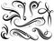 Set of calligraphy swirls