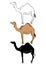 Set of camel animal hand drawn vector illustration design