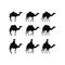 Set camel black silhouette vector