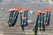 Set of canoe oars after training