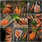 Set of carrots. collection of fresh and delicious vegetables.