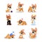 Set of cartoon corgi. Funny little dog in different actions. Walking, wondering, sleeping, growling, playing, crying