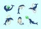 Set of cartoon dolphins in different poses, vector illustration of marine animals. Painted dolphins swim and players in