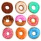 Set of cartoon donuts. Top view. Comic style. Different types, glazed, with sprinkes, iced and chocolate. Vector illustrations