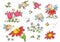 Set of cartoon fairies, insects, flowers and elements, vector graphics