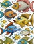 Set of cartoon fish