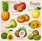 Set of cartoon food icons. Exotic fruits. Pineapple ananas, tamarillo, quince, persimmon