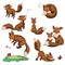 Set of cartoon foxes. Collection of cute foxes. Vector illustration for children. Wild animals.