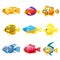 Set cartoon Funny fish vector characters. Colorful coral reef tropical fish set vector illustration. Sea fish collection