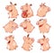 Set of Cartoon Illustration. Cute Pigs in Different Poses for you Design. Cartoon Character