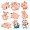 Set of Cartoon Illustration. Cute Pigs in Different Poses for you Design. Cartoon Character