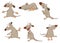 Set of Cartoon Illustration. Cute Rats for you Design