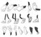 Set of cartoon lags and hands. Clipart arms in different poses. Various hands with different gesture. Vector walking