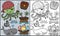Set cartoon of pirates elements with funny octopus, coloring book or page