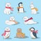 Set of cartoon polar animals with scarfs illustration. Arctic fox, polar bear, baby penguin, rabbit, walrus, seal, owl and