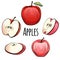 Set of cartoon red apples of different shapes on a white background.