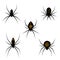 Set of cartoon spiders, Halloween. vector isolated on white background