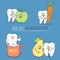 Set of cartoon teeth. Tooth with apple, carrot, milk, pear, fruits, dairy products.